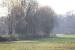 Mooslandschaft